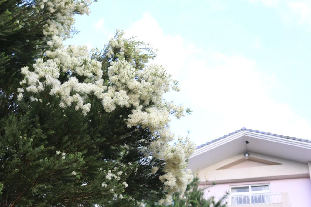 แบร์มีทมูสเบดแอนด์เบรคฟาสต์ Bed & Breakfast ผูหลี่ ภายนอก รูปภาพ